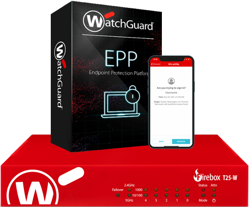 3-productos-EPP-25-500×417 Ciberseguridad Básica para PYMES
