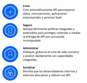 IBM Api Connect